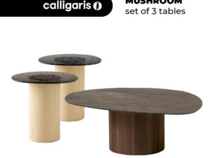 Mushroom set